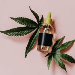 Hemp in Prague: A Comprehensive Guide to Hemp Products and Cultivation img-1358.jpg