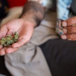 Discreet Cannabis Delivery in Prague: Buy Weed Online Safely img-175.jpg