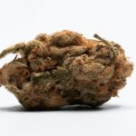 Finding the Best THC Vape in Prague: Shops, Trends, and Buying Guide img-2370.jpg