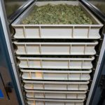 Welcome to the ultimate destination for high‑quality THC vapes in Prague img-2442.jpg