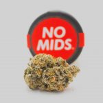 Prague's Cannabis Culture: A Guide for Visitors img-2476.jpg