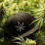 Looking for a reliable way to buy THC‑laden vapes, e‑cigarettes, or hemp products in Prague? Our discreet delivery service lets you shop online, receive your order in secure packaging, and enjoy the convenience of fast, low‑cost shipping—all while staying compliant with Czech Republic regulations. img-2527.jpg