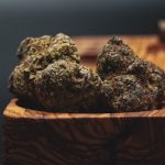 Premium Hemp Shop Prague – Your One-Stop Destination for High-Quality Cannabis and Hemp Products img-2579.jpg