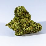 Prague Cannabis Catalog img-258.jpg
