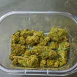 Prague Cannabis Discounts and Local Weed Deals img-281.jpg