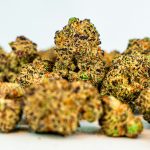 Prague's Licensed Cannabis Delivery Service img-2893.jpg