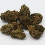 Prague is rapidly becoming a vibrant center for the hemp and cannabis market in the Czech Republic img-2904.jpg