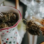 Prague's 24/7 THC Shop: Your Ultimate Cannabis Destination img-2937.jpg