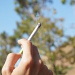 Cannabis in Old Town Prague: Legal Status, Shops, and Strain Guide img-3059.jpg