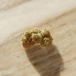 Prague’s Growing Hemp Market img-402.jpg