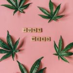 Prague Cannabis: Affordable Options for Tourists and Locals img-564.jpg