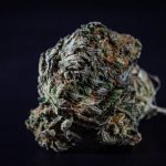 Welcome to the premier destination for high‑quality THC chocolate and other cannabis‑derived products in the Czech Republic img-59.jpg