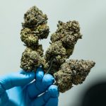 Prague THC Joints Outlet img-81.jpg