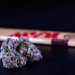 Welcome to the ultimate guide for discovering the best THC‑infused joints in Prague img-816.jpg