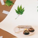 Hemp Licensing in Prague: A Comprehensive Guide img-855.jpg